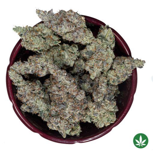 Slapz (AAAA+) - Image 3
