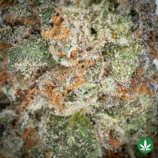 Unicorn Poop (AAAA+) - Image 2
