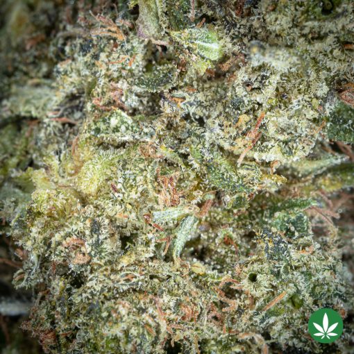 OG Kush (AAA+) - Image 2
