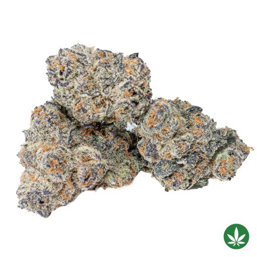 Slurricane (AAAA+) - Smalls Only