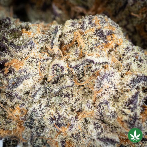 Slurricane (AAAA+) - Smalls Only - Image 2