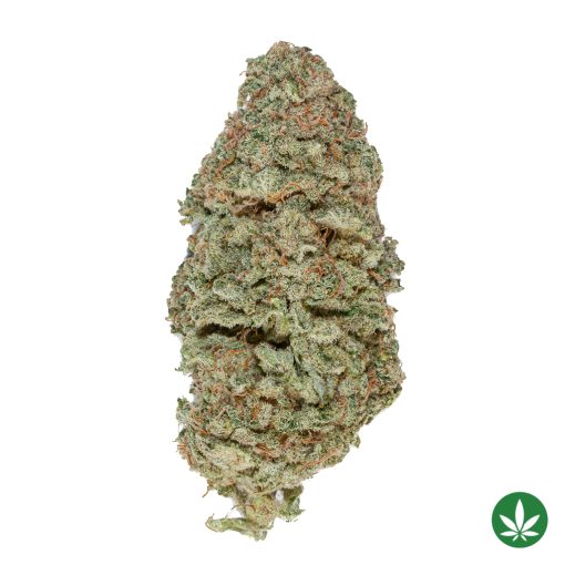 Banana MAC (AAA+)