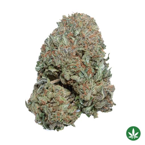 Rock Bubba (AAA+)