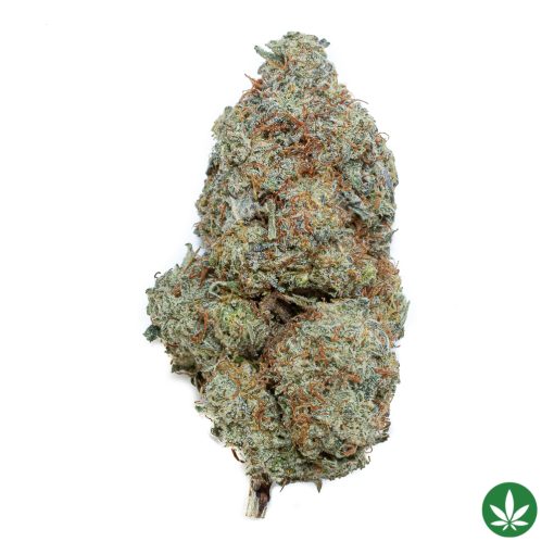 Donkey Butter (AAA+)