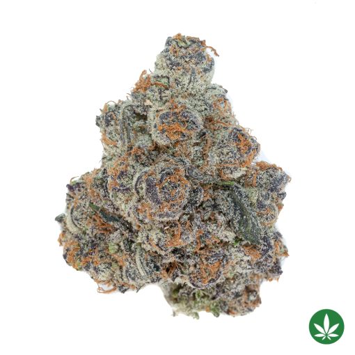 Purple Punch F1 (AAAA+)