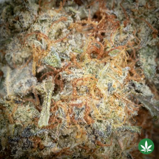 Donkey Butter (AAA+) - Image 2