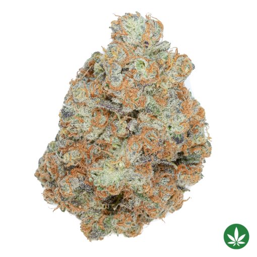 Bad ‘n Boujee (AAAA+)