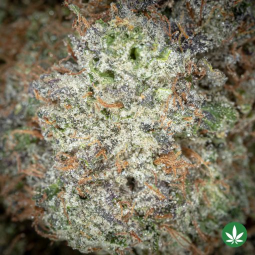 Tom Ford Pink Kush (AAAA+) - Image 2