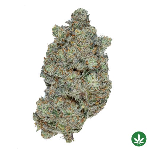 High School Sweetheart (AAAA+)