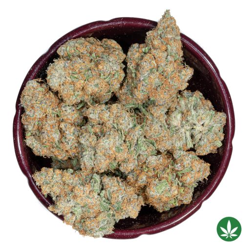 Pear Bourbon (AAAA+) - Image 3