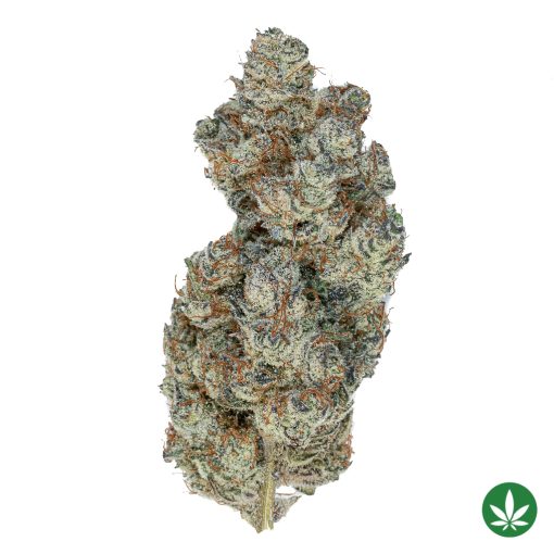 Black Truffle (AAAA+)
