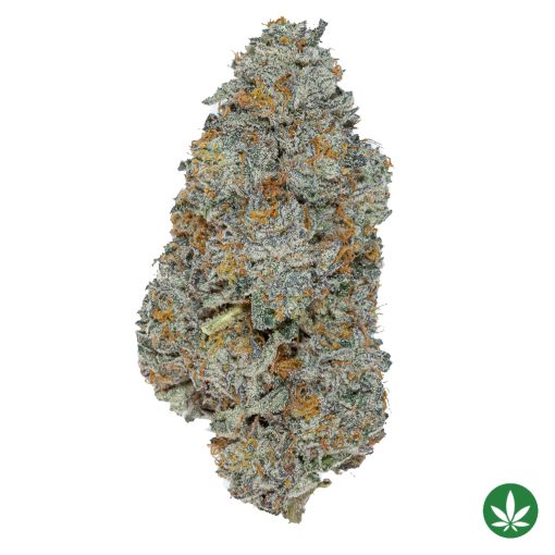 Creme (AAAA+)