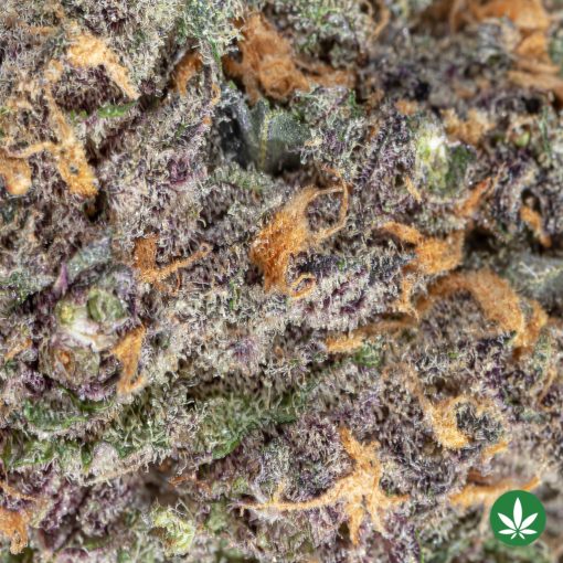 Huckleberry Punch (AAAA+) - Image 2