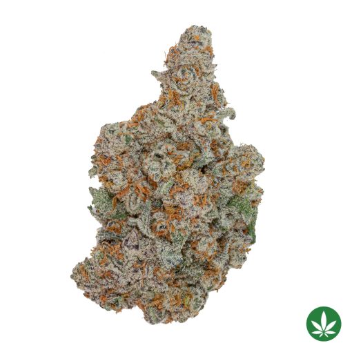 Cold Snap (AAAA+)