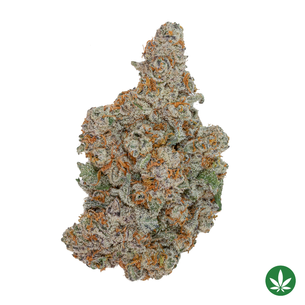 Cold Snap (AAAA+)