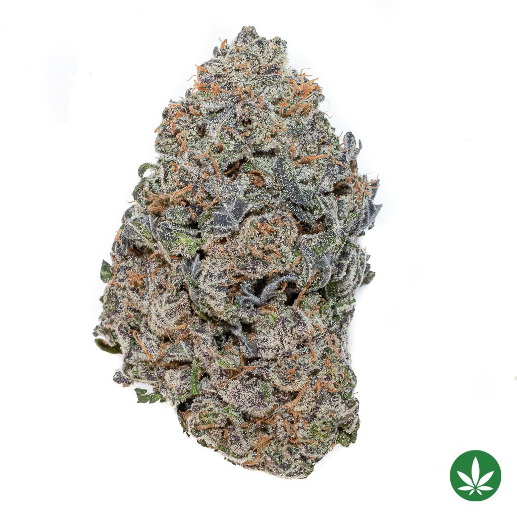 Raspberry Kush (AAA+)