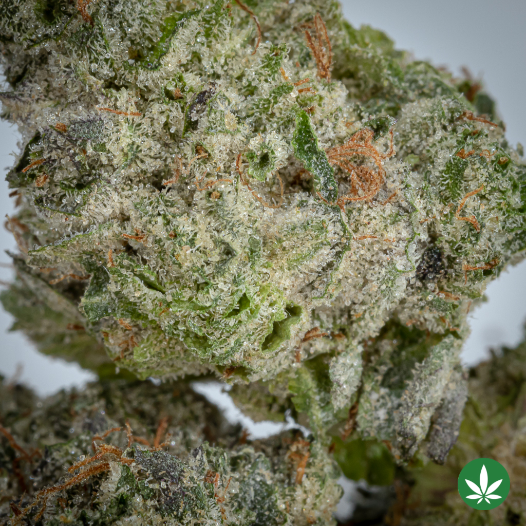 Alternative view of Tom Ford Pink Kush (AAAA+) - Smalls Only