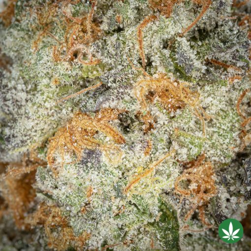 Gas Cake (AAAA+) - Image 2