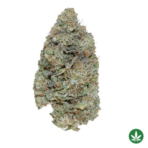 Coffee Kush (AAA+)