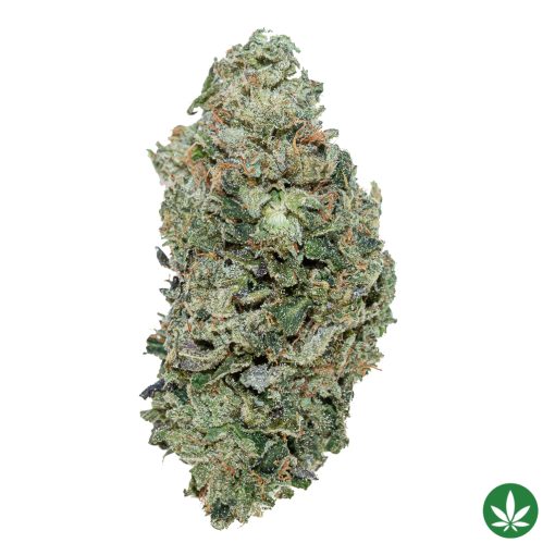 Chemo (AAA+)