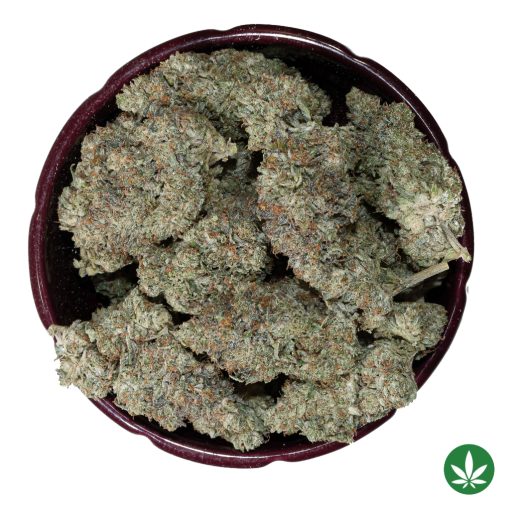 Coffee Kush (AAA+) - Image 3