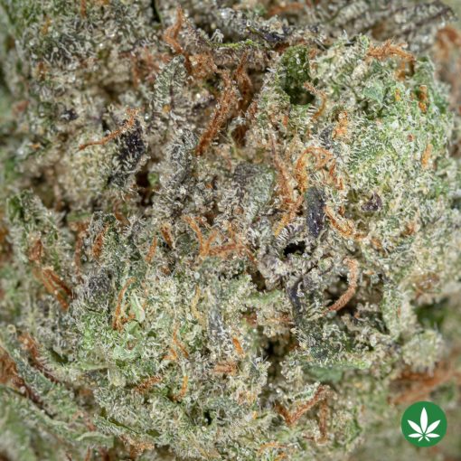 Tom Ford Pink Kush (AAA+) - Image 2
