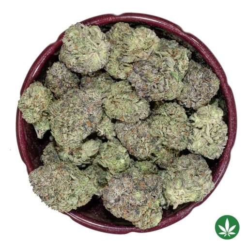 MKU (AAA+) - Image 3