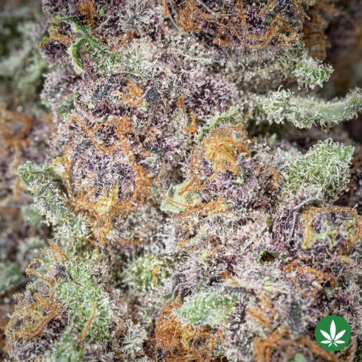 Amethyst (AAAA+) - Image 2