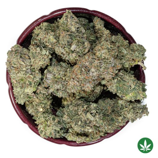 Chemo (AAA+) - Image 3