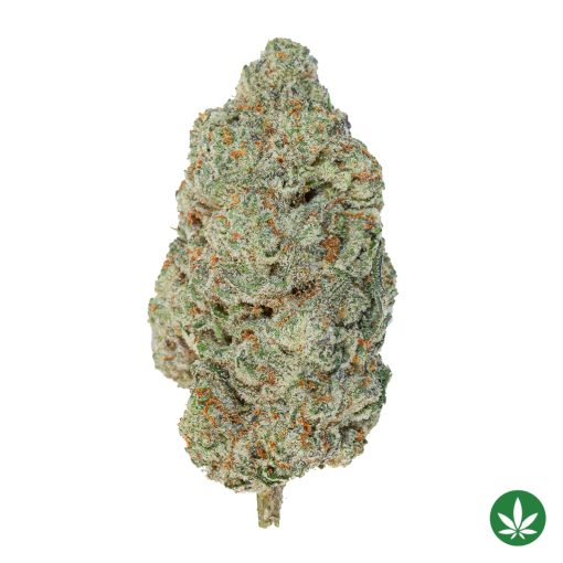 Lazer Fuel (AAA+)