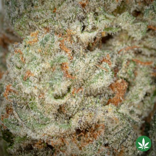 Lazer Fuel (AAA+) - Image 2