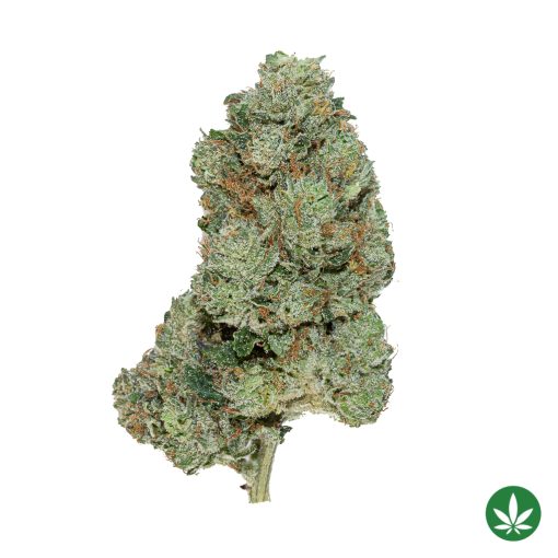 Death Bubba (AAA+)