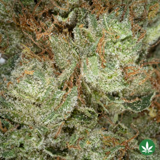 Death Bubba (AAA+) - Image 2