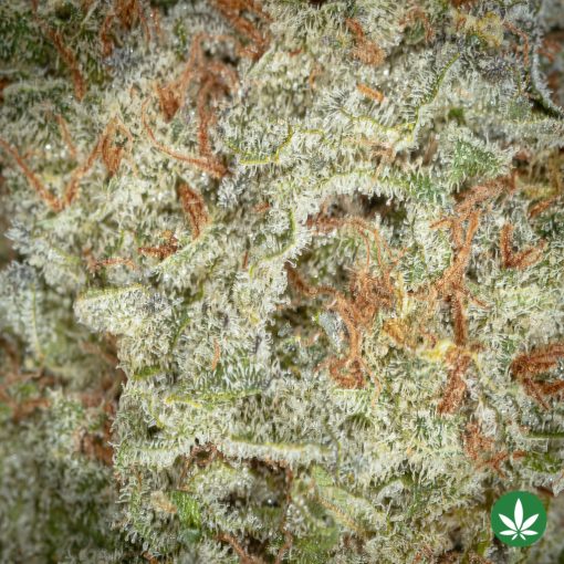 Skunkberry (AAA+) - Image 2
