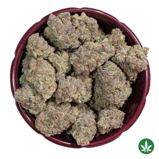 Gary Poppins (AAAA+) - Image 3