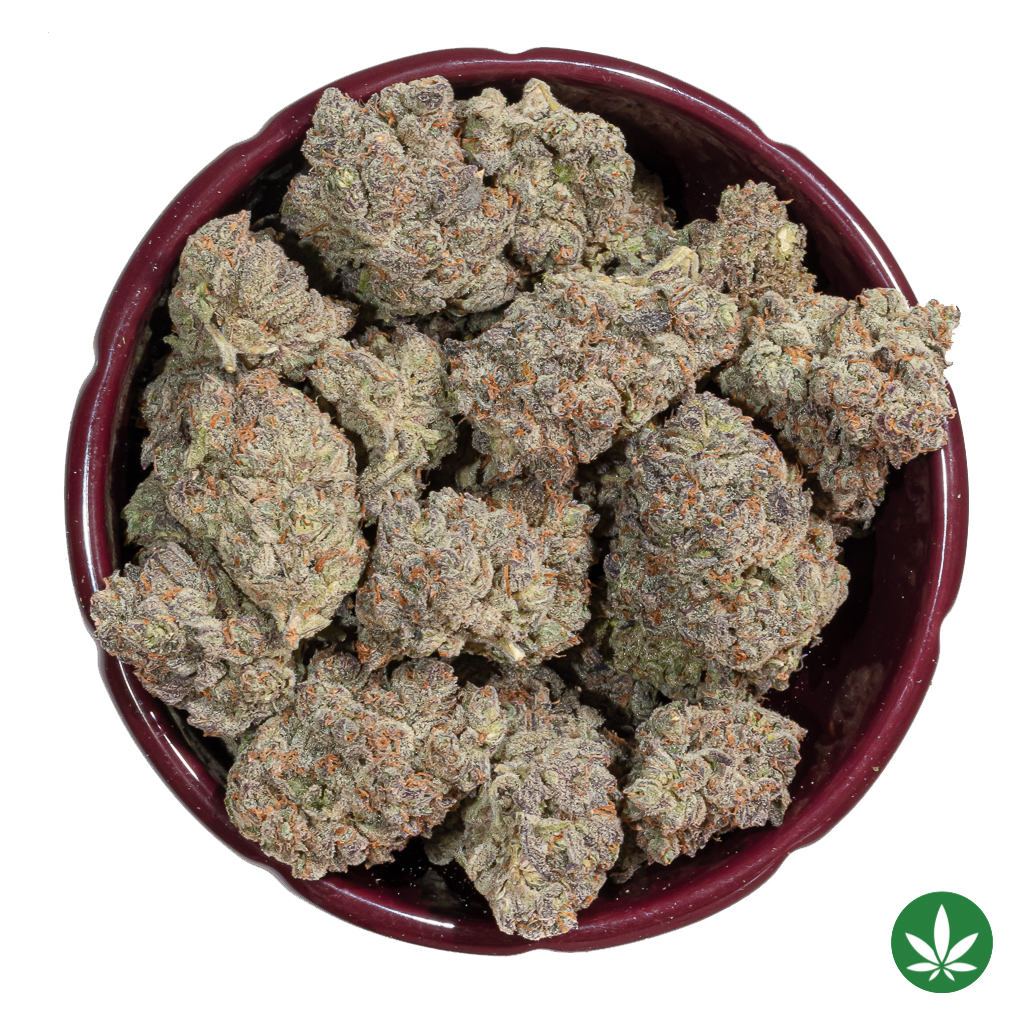 Gary Poppins (AAAA+) - Image 3