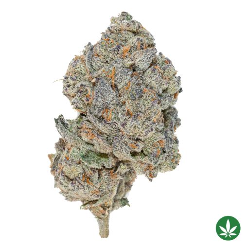 Money Ball (AAAA+)