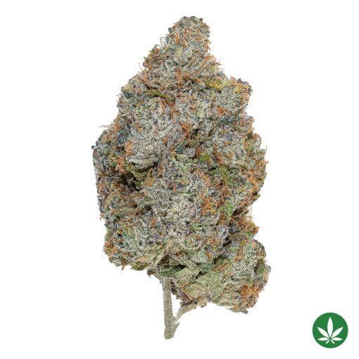 Purple Push Pop (AAAA+)