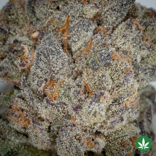 Money Ball (AAAA+) - Image 2