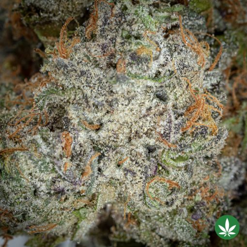 Purple Push Pop (AAAA+) - Image 2