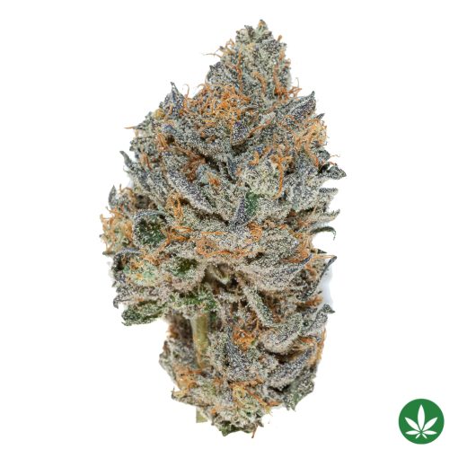 Animal Cookies (AAAA+)