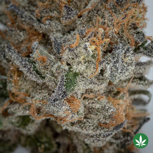 Animal Cookies (AAAA+) - Image 2