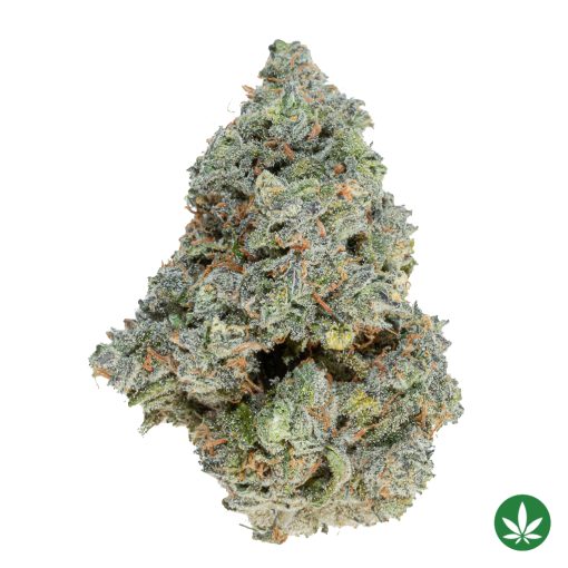 Permafrost (AAAA+)