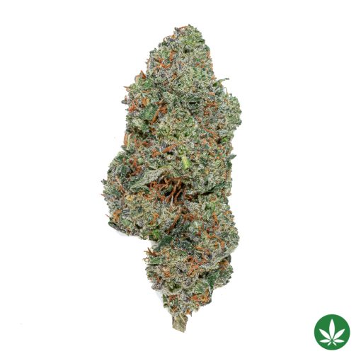 Jelly Breath (AAA+)