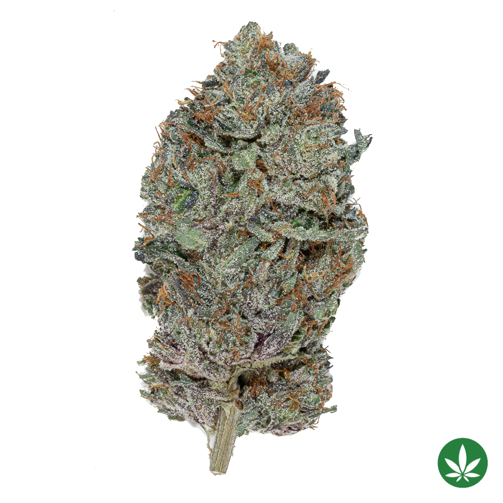 Death Bubba (AAAA+)