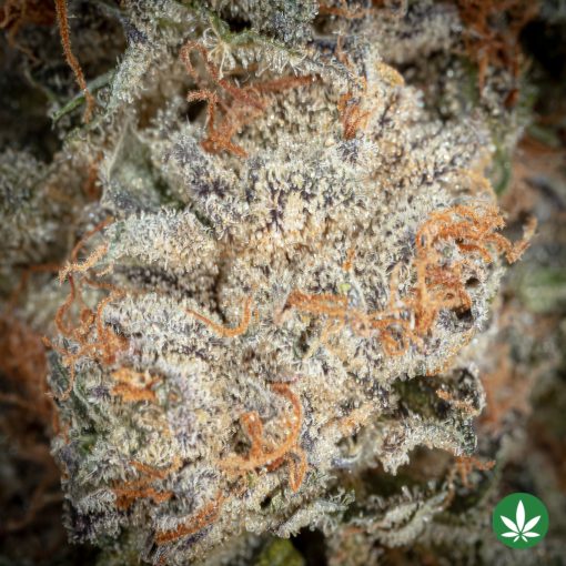 Sour Diesel (AAAA+) - Image 2