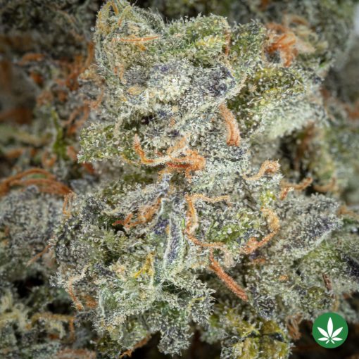 Permafrost (AAAA+) - Image 2