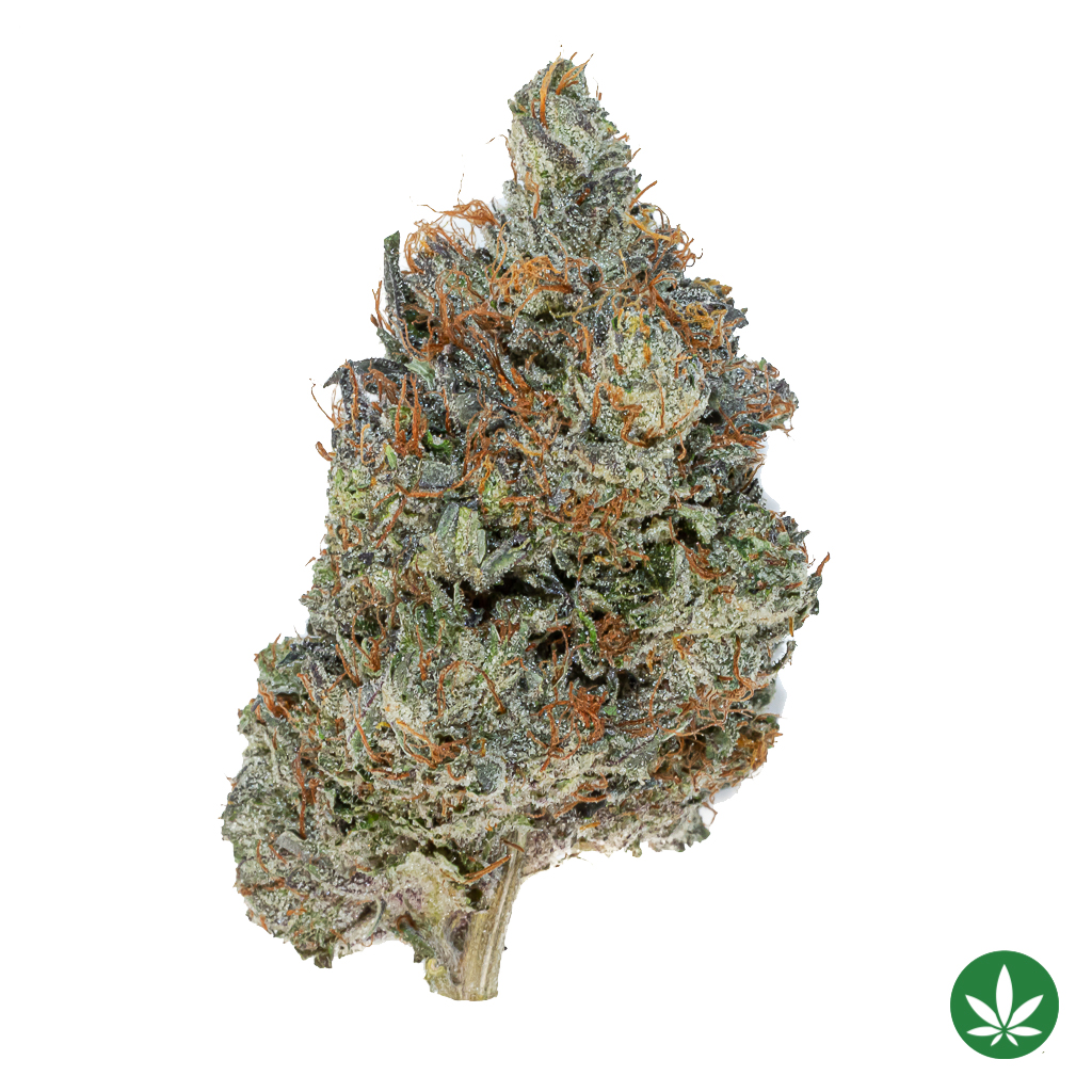 MK Ultra (AAAA+)