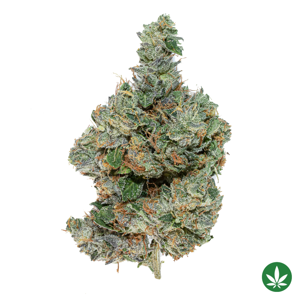 Death Bubba (AAA+)