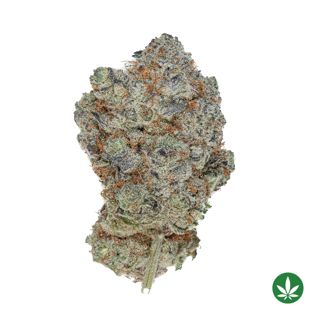 Dirty Kush Breath (AAA+)